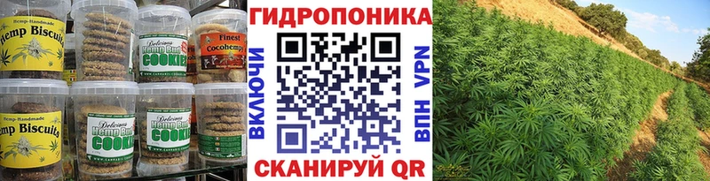 Canna-Cookies марихуана kraken зеркало Сухиничи