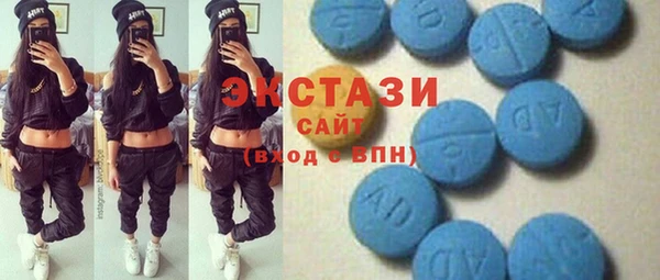 индика Алексин