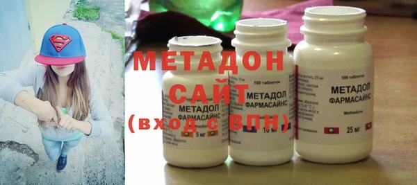 индика Алексин