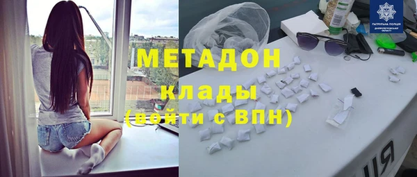 индика Алексин