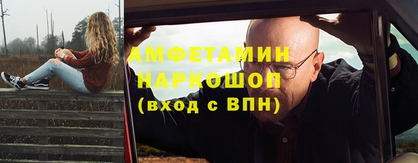 индика Алексин