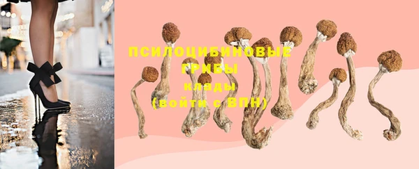 марки nbome Алзамай