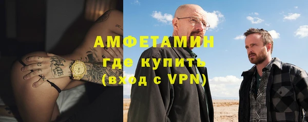 индика Алексин