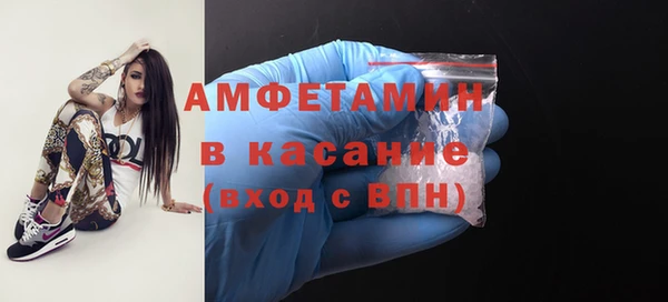 индика Алексин