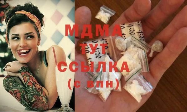 индика Алексин