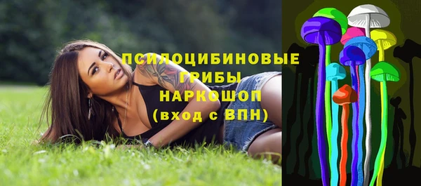индика Алексин