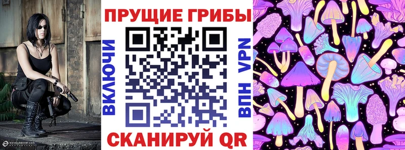 Галлюциногенные грибы Psilocybine cubensis даркнет как зайти Сухиничи
